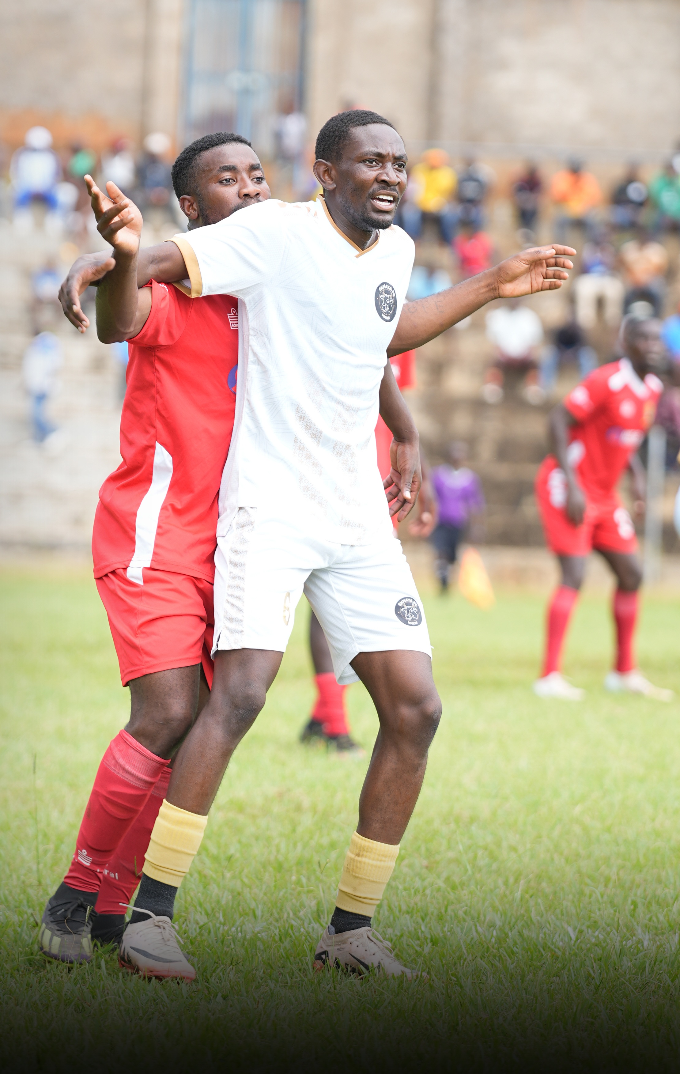 Match Preview: Ekhaya FC vs Red Lions FC